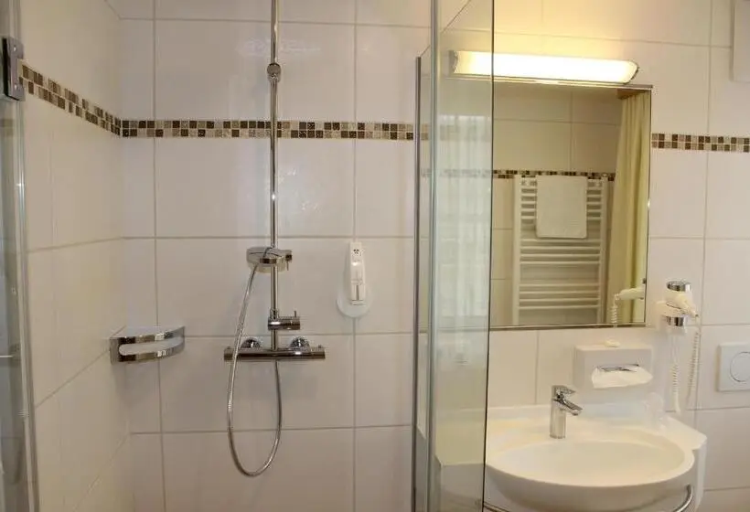 Standard Yhden Hengen Huone, Donauhotel Lettnerhof