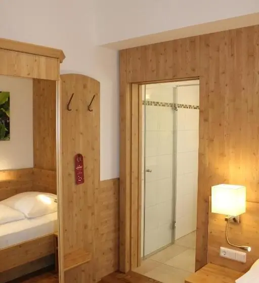 Standard Yhden Hengen Huone, Donauhotel Lettnerhof
