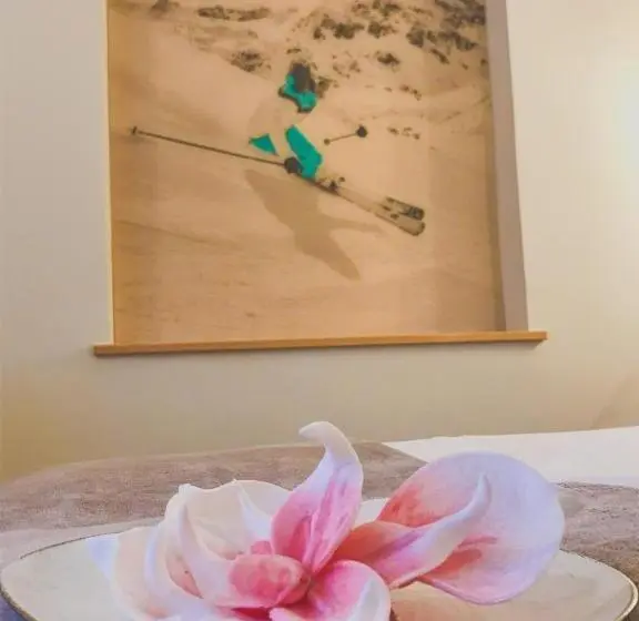 ベーシックルーム, Andi S Ski