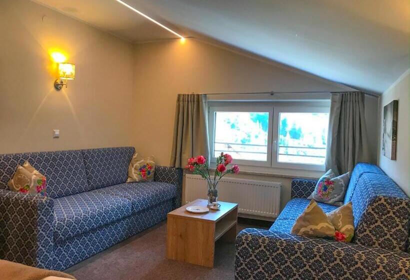 패밀리 룸 산 전망, Andi S Ski