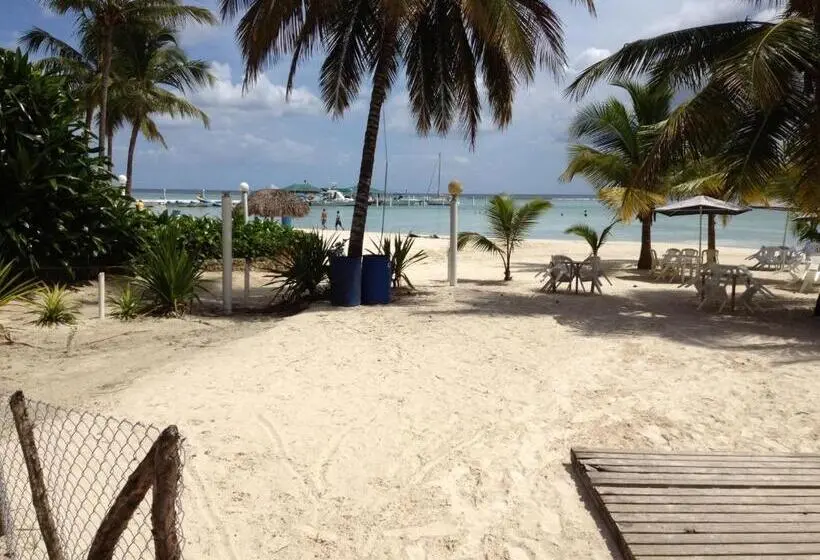 اتاق استاندارد, Arena Coco Playa