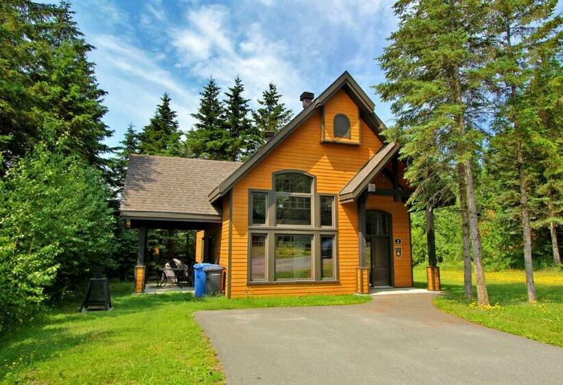 شاليه غرفة نوم واحدة, La Cache A Maxime