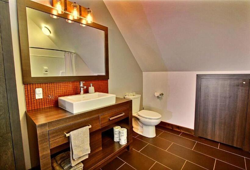 شاليه غرفة نوم واحدة, La Cache A Maxime