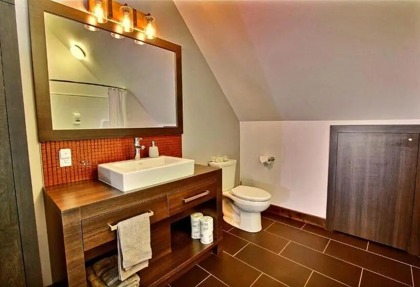1 Yatak Odalı Villa, La Cache A Maxime