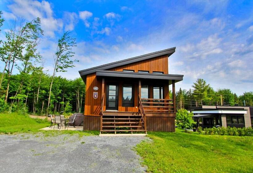 2间卧室的房子, La Cache A Maxime