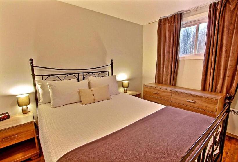 2间卧室的房子, La Cache A Maxime