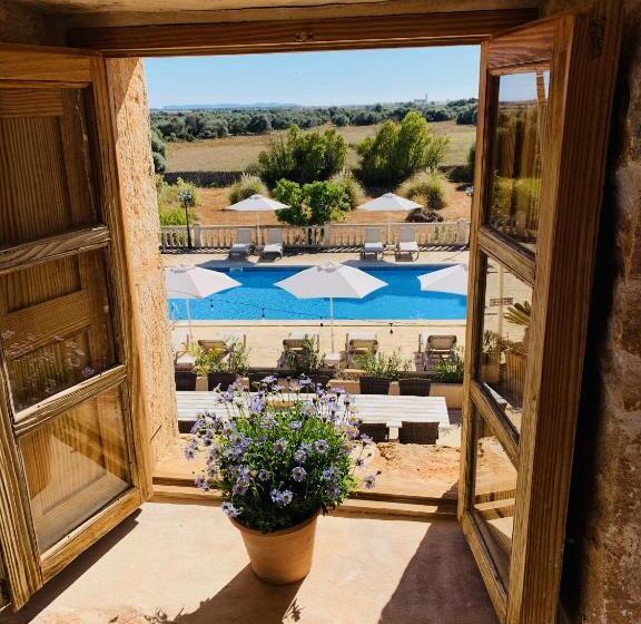 اتاق استاندارد, Agroturismo S Hort De Can Carrio Ag226