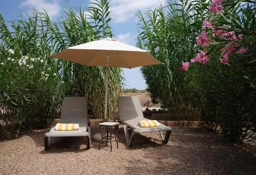 デラックスルーム, Agroturismo S Hort De Can Carrio Ag226