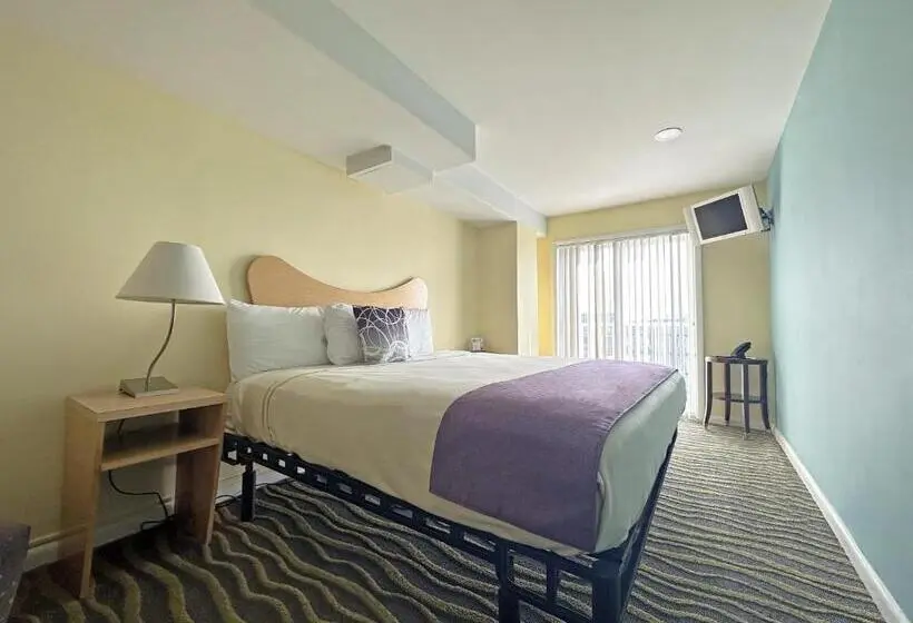 Standard-huone King-vuode, Shalimar Resort
