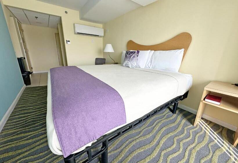 带大床的标准间, Shalimar Resort