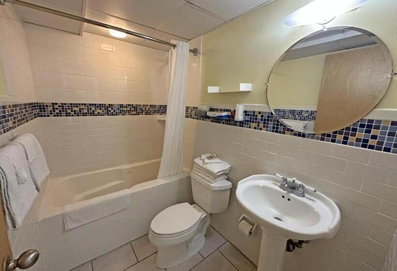 带大床的标准间, Shalimar Resort