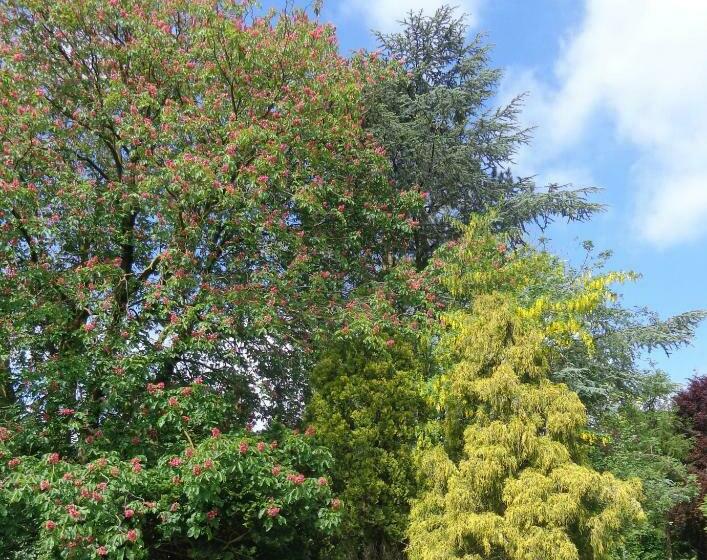 スタンダードルーム, Villa De Keyser