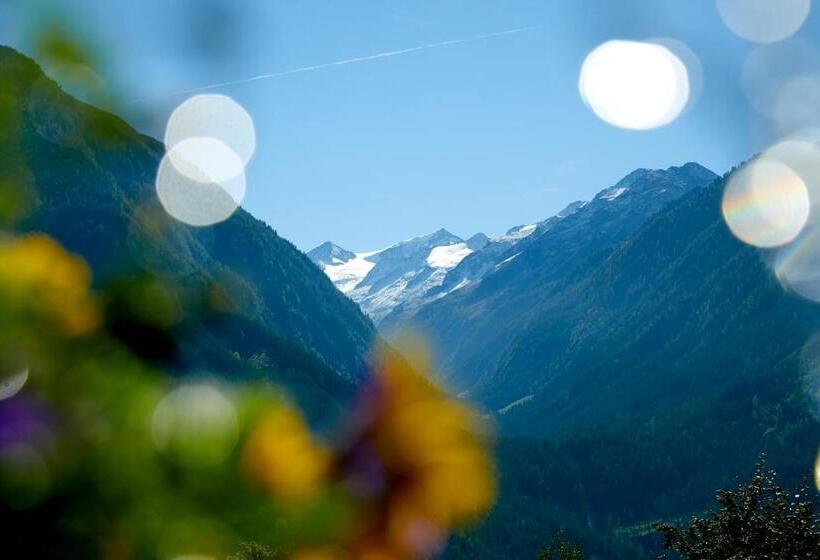 バルコニー付きシングルスタンダードルーム, Gasthof Abelhof