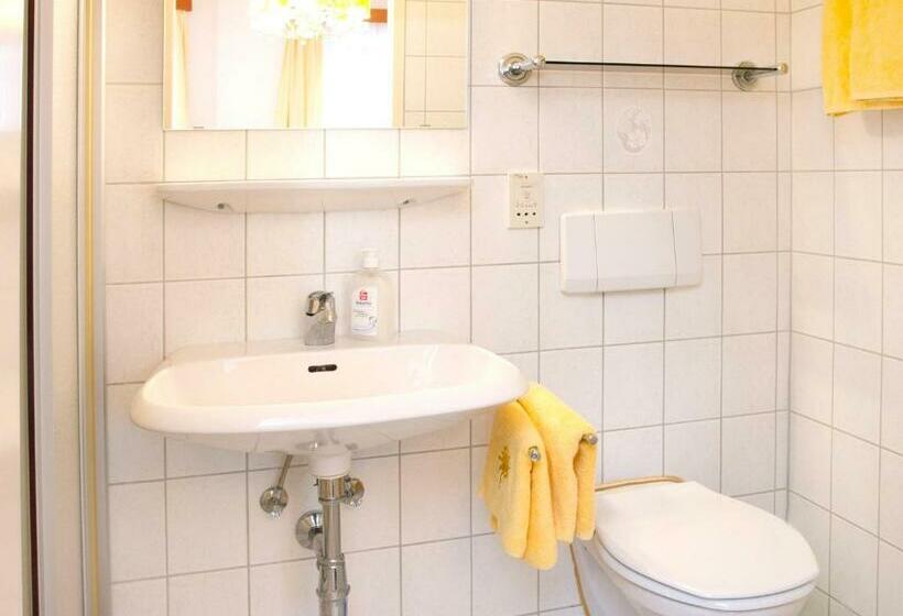 标准单人间, Zur Sonne