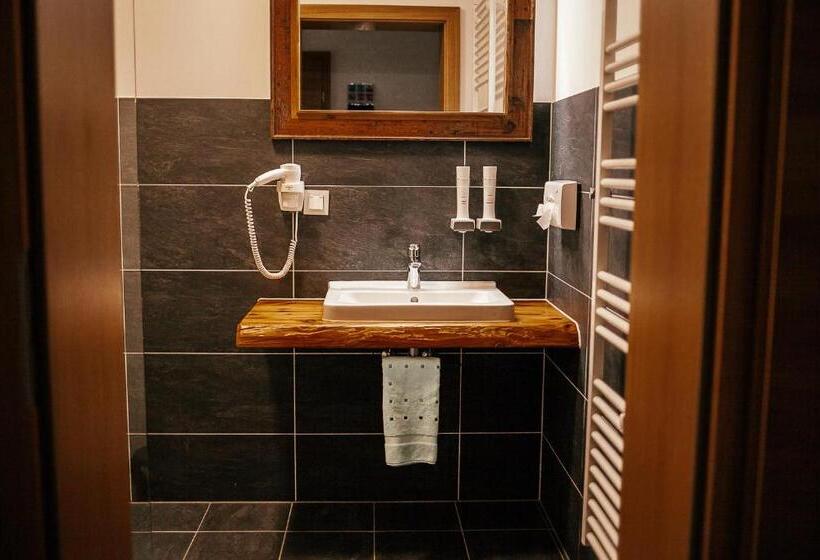 דירת חדר סופריור, Alpenhotel & Aparthotel Lanz