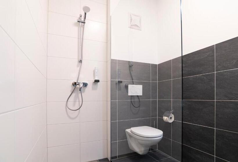 דירת חדר סופריור, Alpenhotel & Aparthotel Lanz