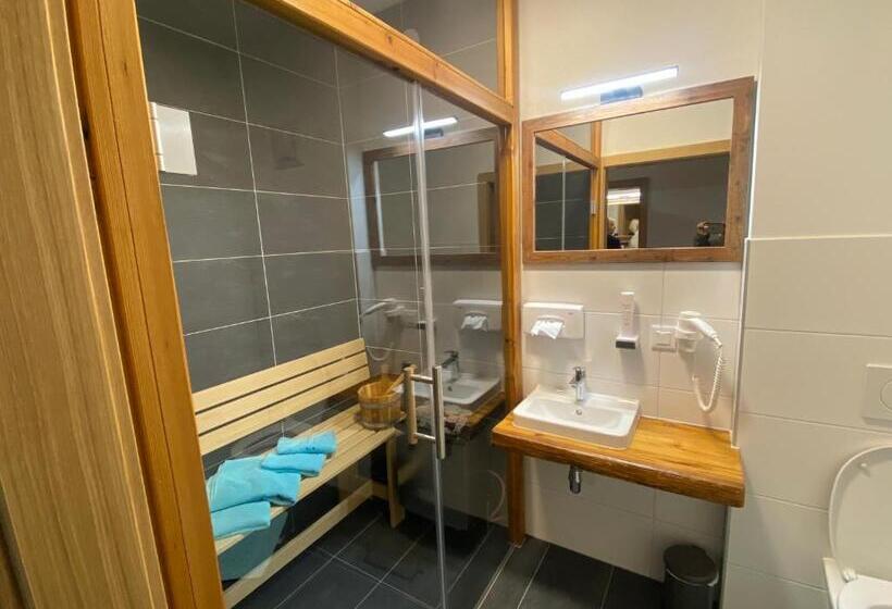 דירת חדר סופריור, Alpenhotel & Aparthotel Lanz