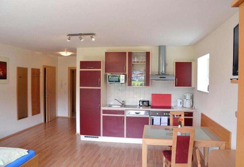 Студио Стандарт с Террасой, Aparthotel Sunrise