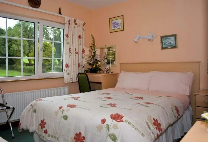 Standard-huone, Ballindrum Farm B&b