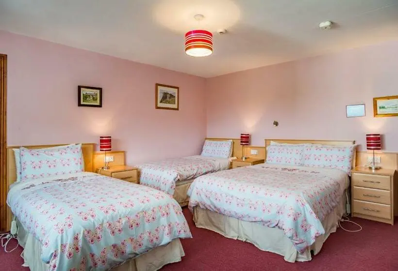 Standard Kolmen Hengen Huone, Ballindrum Farm B&b
