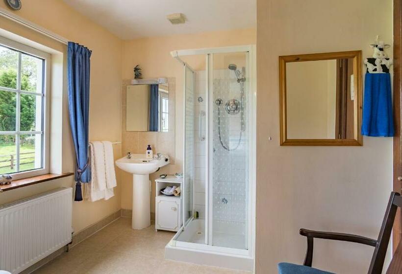 Номер Стандарт, Ballindrum Farm B&b