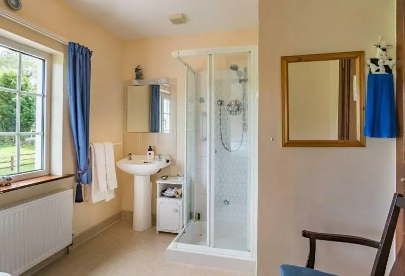 Standard-huone, Ballindrum Farm B&b
