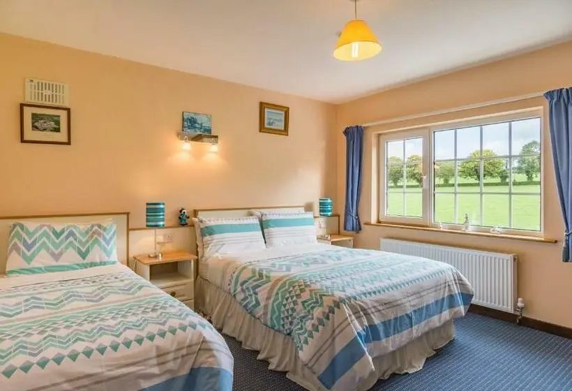 Standard-huone, Ballindrum Farm B&b