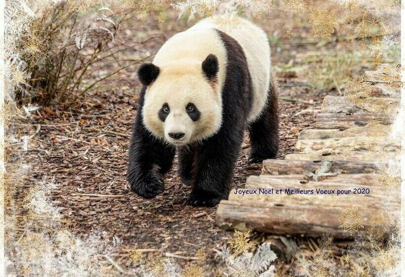 Номер Deluxe, B&b Hakuna Matata