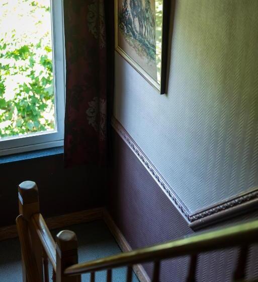 单人基本间, Boutique Hotel Shamon