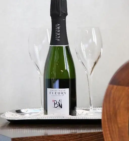 庭の見えるジュニアスイート, Boutique Hotel Shamon