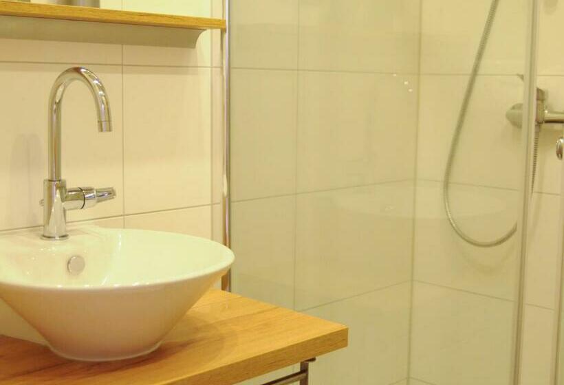 غرفة قياسية, Alpenhotel & Aparthotel Lanz