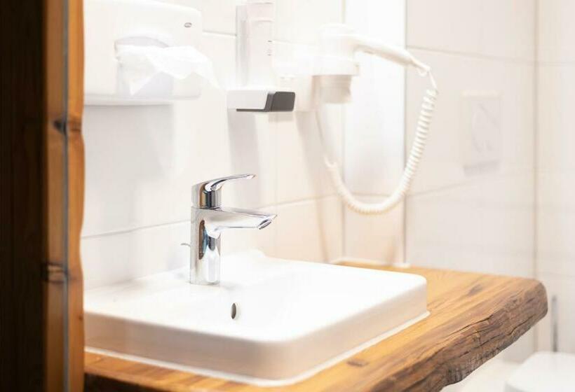 شقة سوبريور غرفة واحدة, Alpenhotel & Aparthotel Lanz