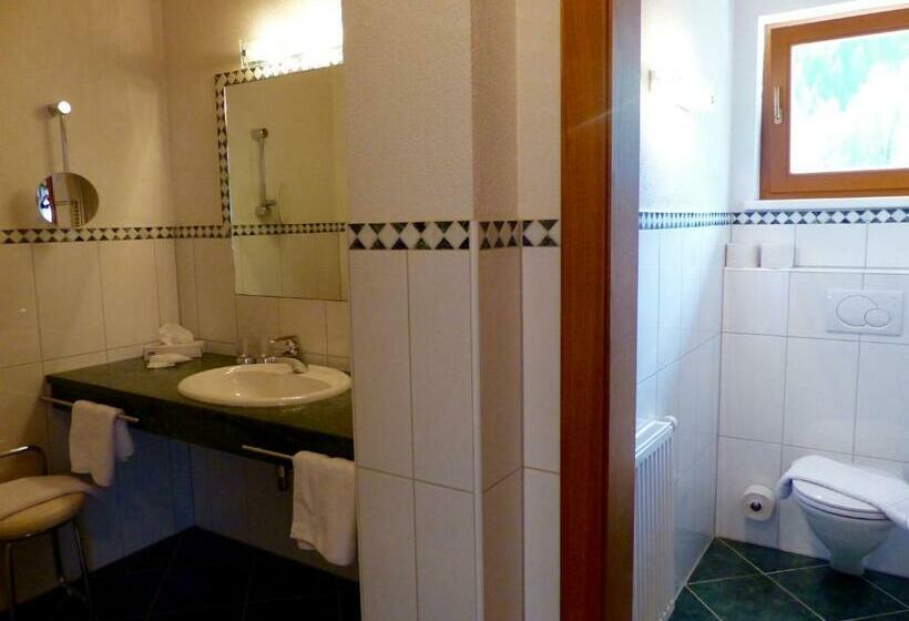 Habitació Estàndard, Garni Zerzer