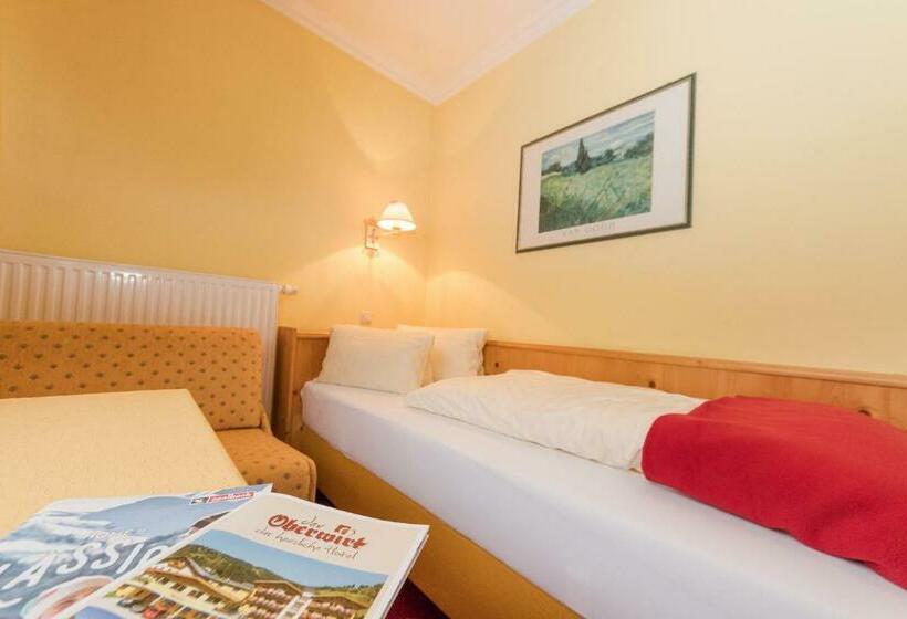 غرفة قياسية فردية, Oberwirt   Nahe An Saalbach Und Zell Am See