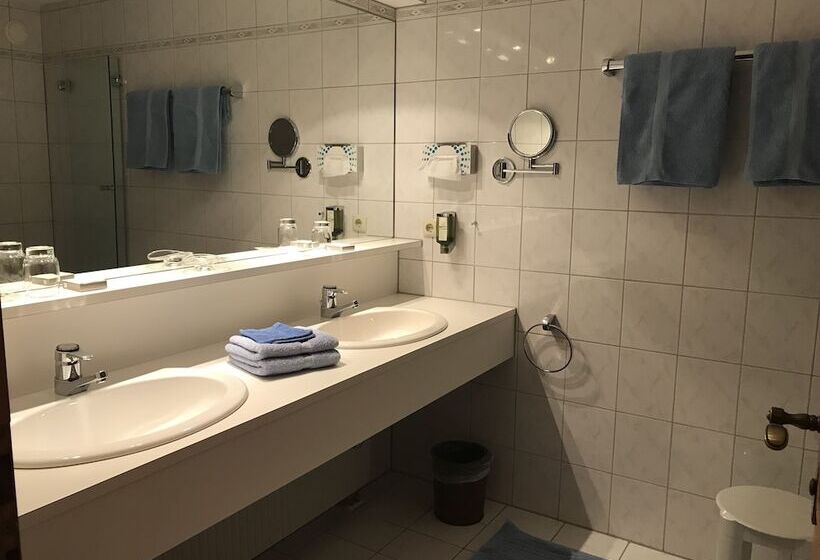 Номер Стандарт с Балконом, Omesberg