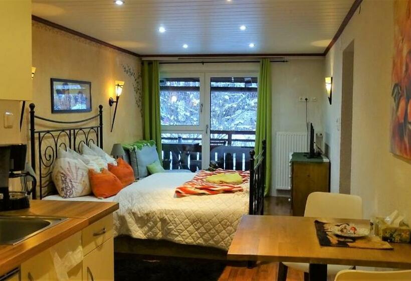 דירת חדר, Alpinresort Derbacherhof