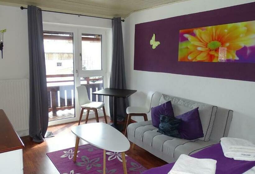 דירת חדר, Alpinresort Derbacherhof