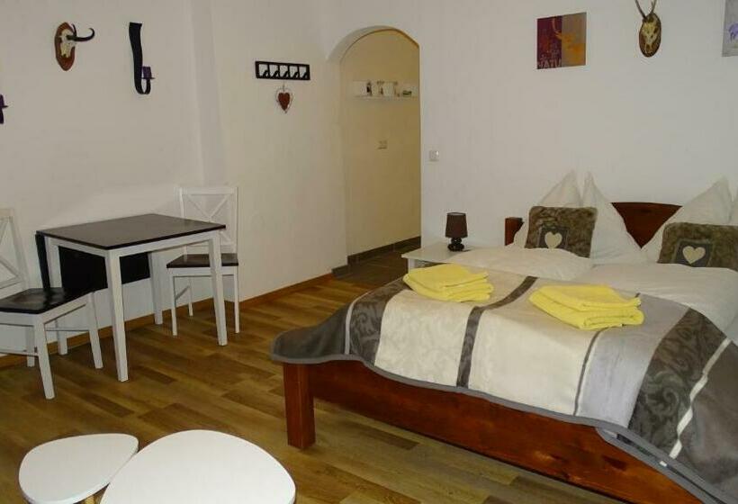 דירת חדר, Alpinresort Derbacherhof