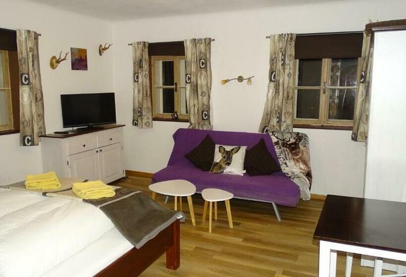 Апартаменты 1 Спальня, Alpinresort Derbacherhof