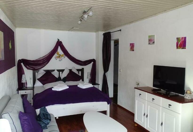 דירת חדר, Alpinresort Derbacherhof