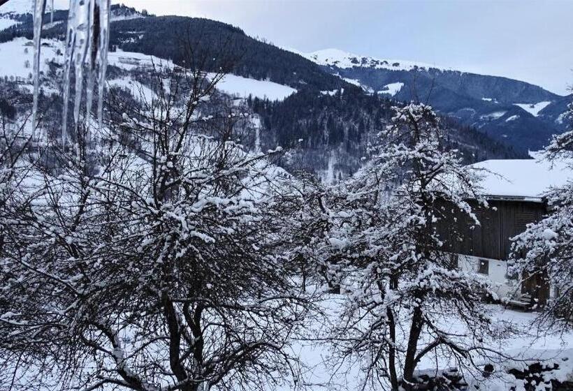 דירת חדר, Alpinresort Derbacherhof