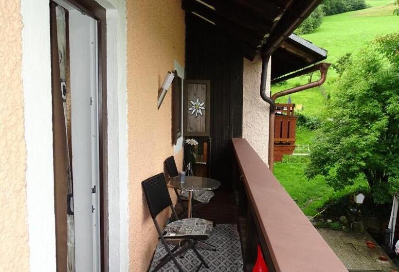 Апартаменты 1 Спальня, Alpinresort Derbacherhof