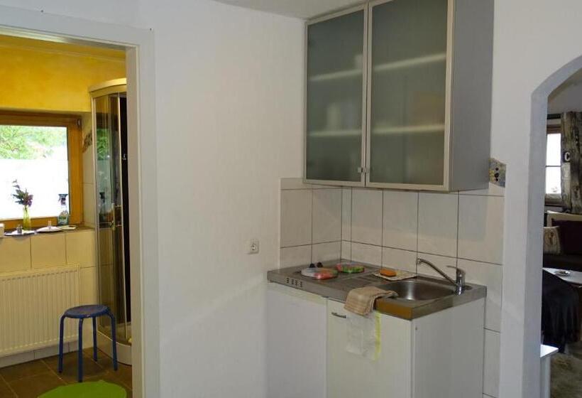 דירת חדר, Alpinresort Derbacherhof