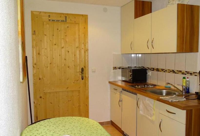 Апартаменты 1 Спальня, Alpinresort Derbacherhof