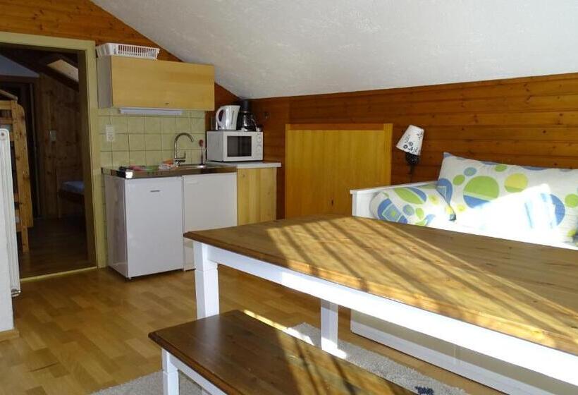 סוויטה משפחתית 2 חדרי שינה, Alpinresort Derbacherhof