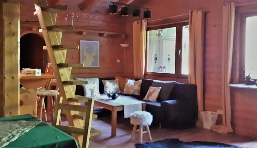 آپارتمان لوکس 1 خوابه, Alpinresort Derbacherhof