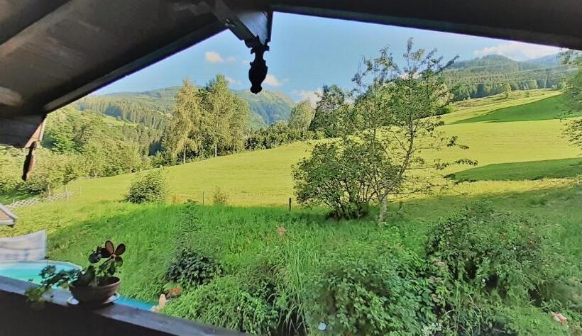 דירת חדר דלוקס, Alpinresort Derbacherhof