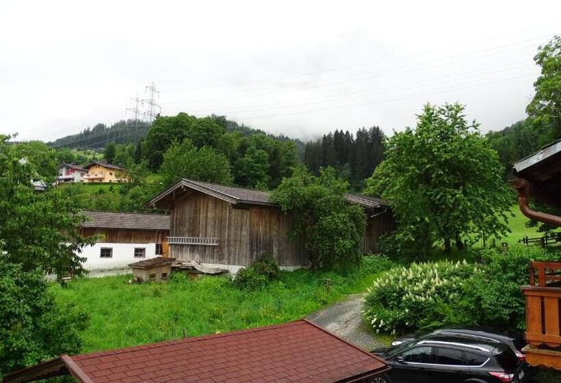 Апартаменты 1 Спальня, Alpinresort Derbacherhof