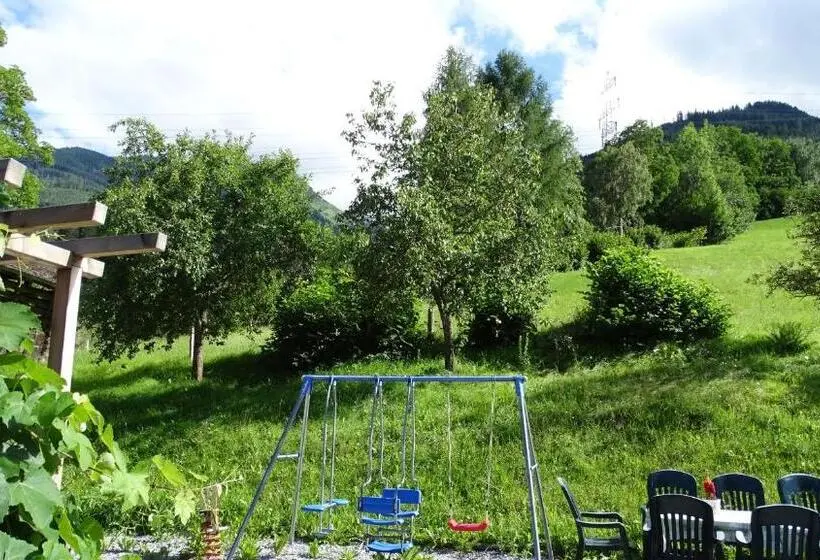 آپارتمان 1 خوابه, Alpinresort Derbacherhof
