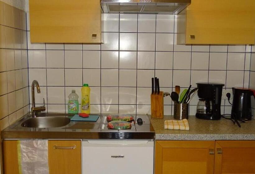 דירת חדר, Alpinresort Derbacherhof